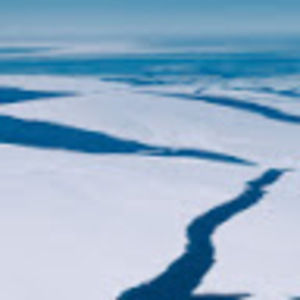 Meet your Posher, Mya